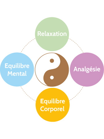 clés vétérinaire acupuncture clés vétérinaire acupuncture