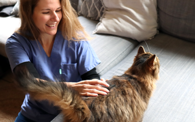 Consultation acupuncture