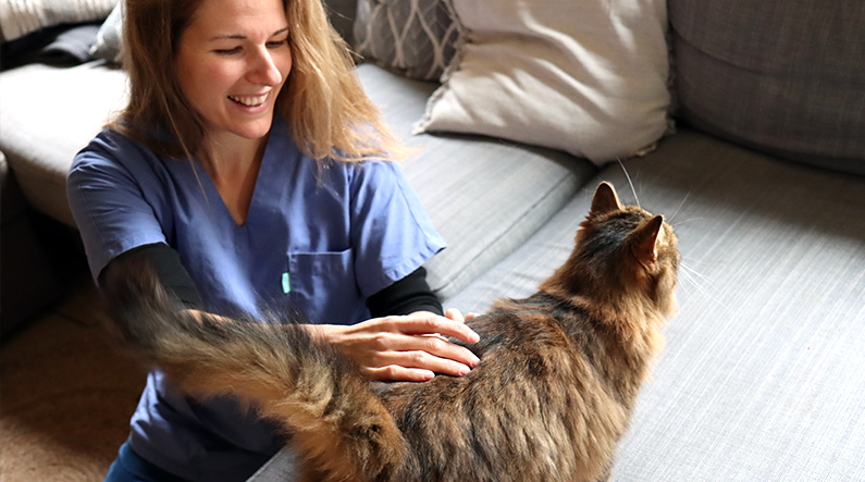 Consultation acupuncture