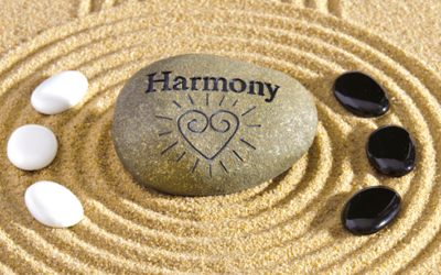 Vétérinaire acupuncteur