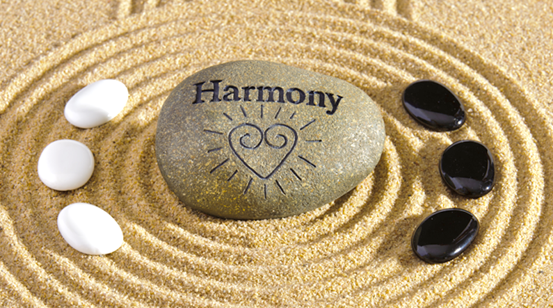 Vétérinaire acupuncteur